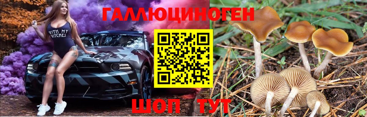 Псилоцибиновые грибы Magic Shrooms  Вход с VPN  Белово 