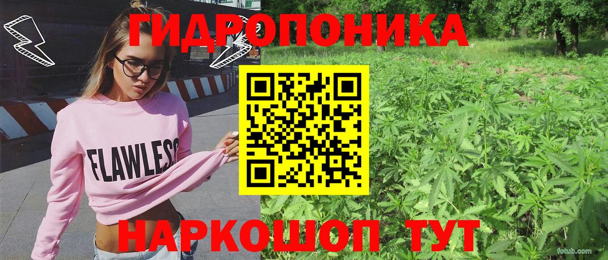 Шишки марихуана тримм  Вход с VPN  Белово  Каннабис Ganja 